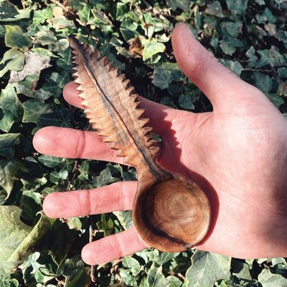 Coffee Scoop Made From Quilted Sycamore