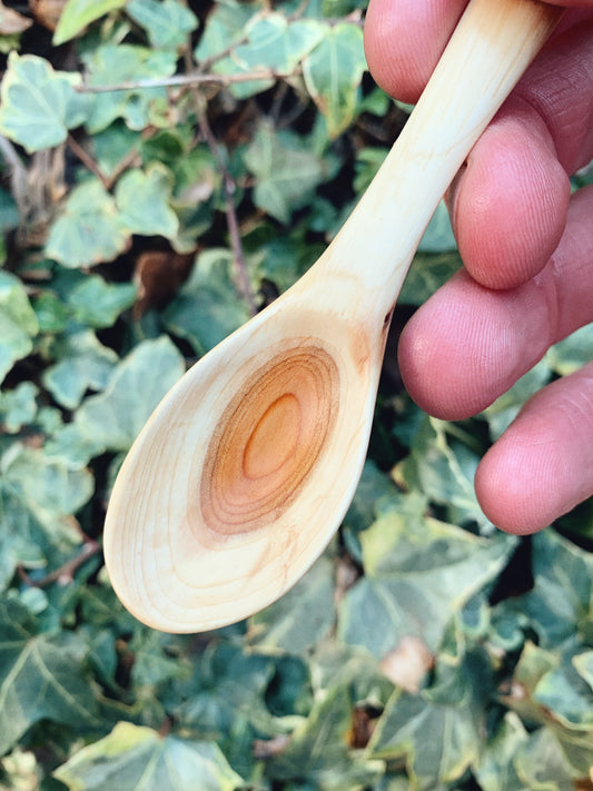 Tea Spoon Made From Yew